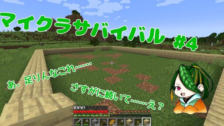 【マインクラフト 】 よし！家作る場所決めるぞ～！ ＃4【マイクラサバイバル】