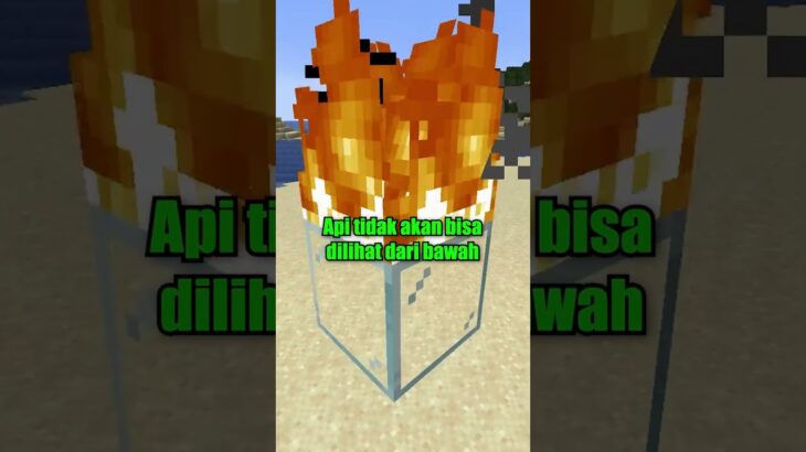 5 FAKTA TENTANG MINECRAFT YANG BANYAK ORANG TIDAK TAHU Pt.2