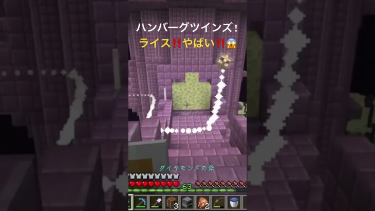 ライス浮いちゃった‼️やばい😱#小5 #minecraft #minecraftshorts #マイクラ #マインクラフト #shots #shorts #エンドシティ #エリトラ #シュルカー