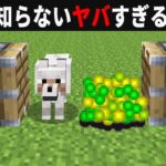 【海外検証】謎が多すぎるマインクラフト9選【ゆっくり実況】【マイクラ】