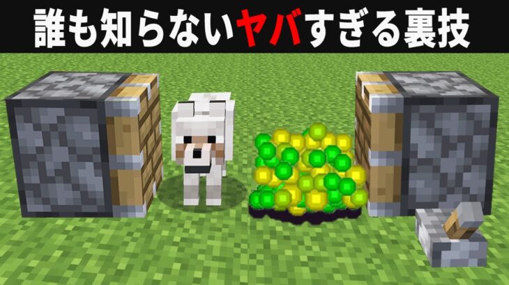 【海外検証】謎が多すぎるマインクラフト9選【ゆっくり実況】【マイクラ】