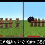 マイクラ統合版とJAVA版の違い１３選！！この違いに気づけたらプロです。Minecraft JAVA & BEDROCK Difference MUST SEE!!