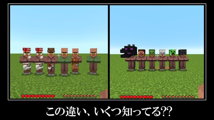 マイクラ統合版とJAVA版の違い１３選！！この違いに気づけたらプロです。Minecraft JAVA & BEDROCK Difference MUST SEE!!