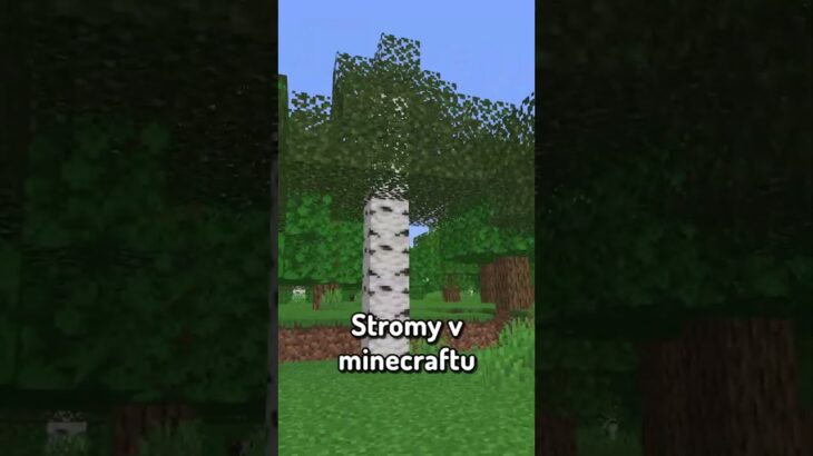 Jak udělat Minecraft REALISTICKÝ