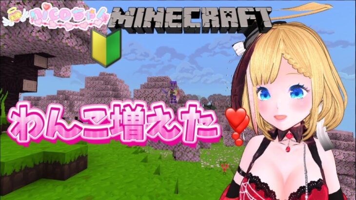 【Minecraft】⑥🔰　家を建てたり探索したり