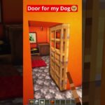 Minecraft Door For My Dog🥺 #shorts