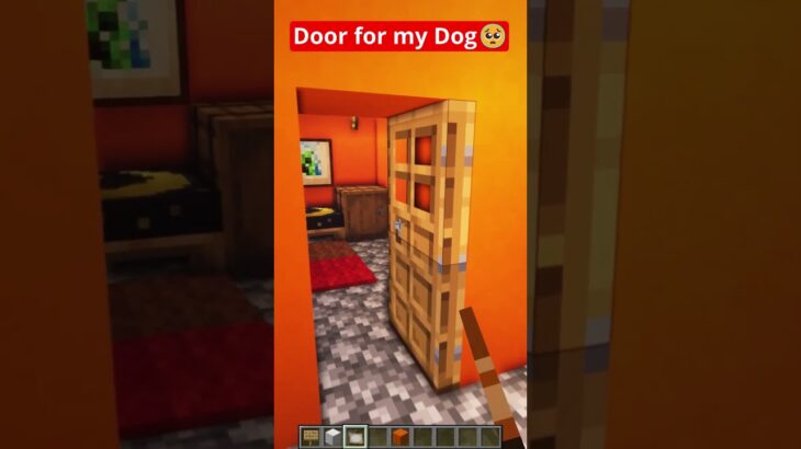 Minecraft Door For My Dog🥺 #shorts