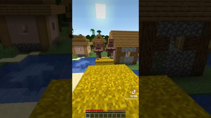 Minecraft villager chase