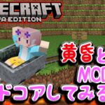 【Minecraft】久々にシングルしたくなったのでハードコアしてみる【MOD入りJAVA版】