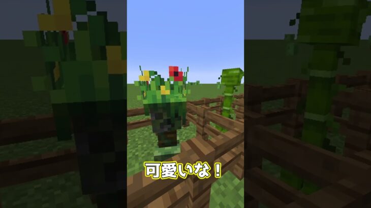 【Minecraft】変わったクリーパー達を紹介するよ！【MOD紹介】#shorts