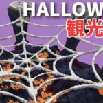 【マイクラ建築】ハロウィン鯖観光配信！さしっぺさんと！【Minecraft】【#MultiCultHalloween】