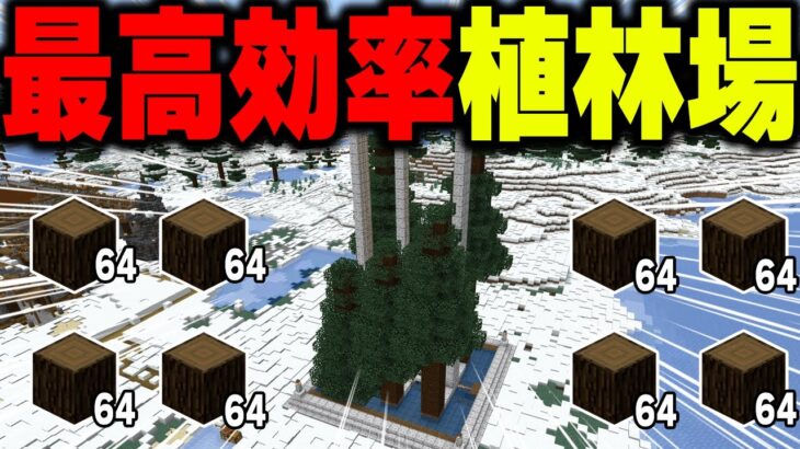 【マイクラ統合版】自動で苗木回収！最高効率の４マス植林場！【マインクラフト まいくら Minecraft】part24