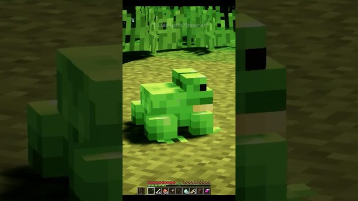 Tuve una cita en minecraft pero un sapo lo arruinó todo!