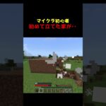 minecraft 初めて立てた家が‥