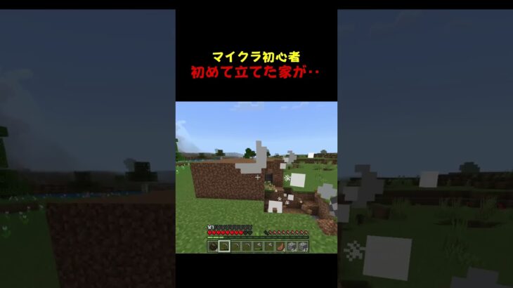 minecraft 初めて立てた家が‥