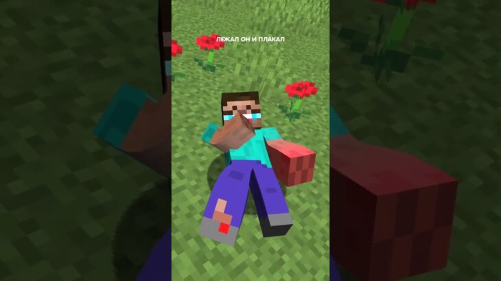 Песня про стива и пылесос в minecraft! 😆