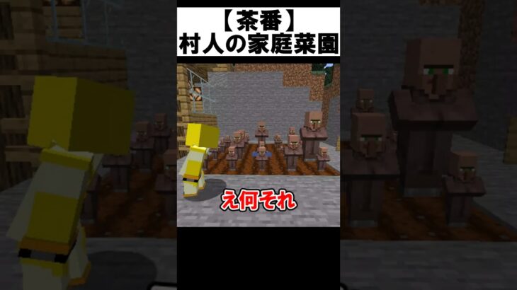 【茶番】畑で村人を育てる奴【マイクラ】#shorts 【マインクラフト】【まいくら】