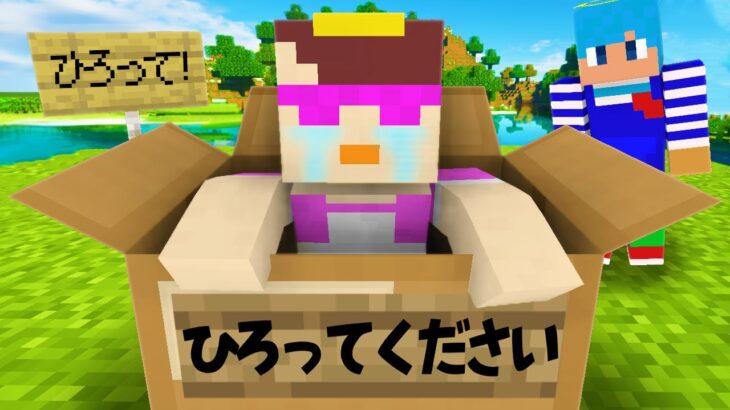 道におかんが捨てられてました【まいくら / マインクラフト】