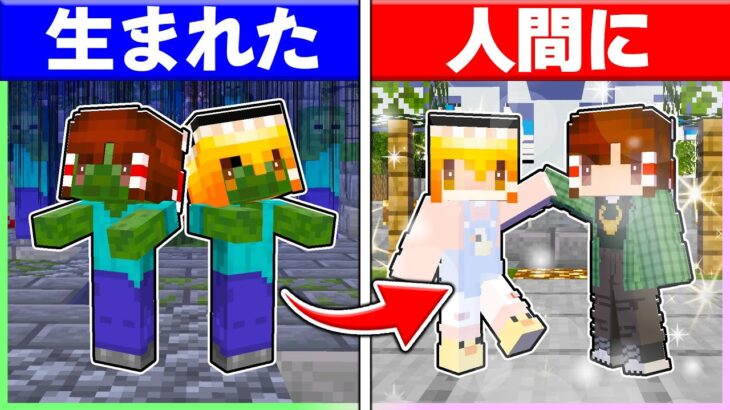 🍬ゾンビとして生まれた霊夢と魔理沙が人間になるまで🤩【ゆっくり実況/まいくら/マインクラフト】