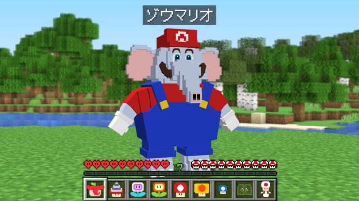 【マイクラ】マリオワンダーの新キャラ『ゾウマリオ』になった世界でサバイバル！？【マインクラフト】