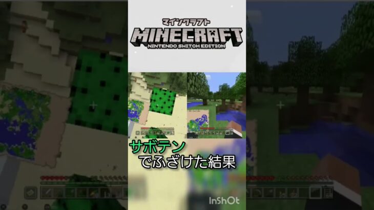 【マイクラ】サボテンでふざけた結果 #マイクラ #マイクラサバイバル生活 #サボテン