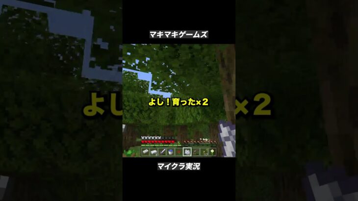 【育成中】ピヨンピーン！【マイクラ】 #ゲーム実況 #マイクラ #マインクラフト