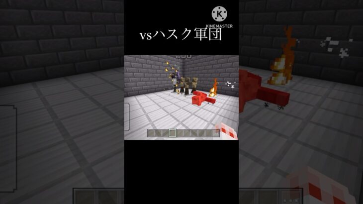 炎のボスvsハスク軍団&アイアンゴーレム #マインクラフト #マイクラ #統合版 #コマンド紹介