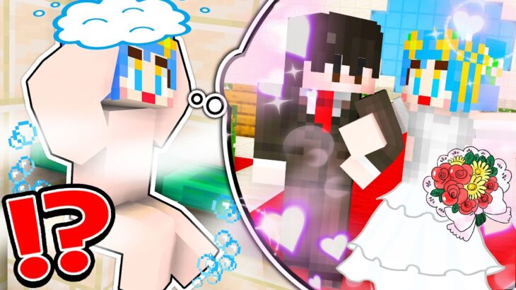 結婚するために花嫁修業をした結果www【 マイクラ / Minecraft 】
