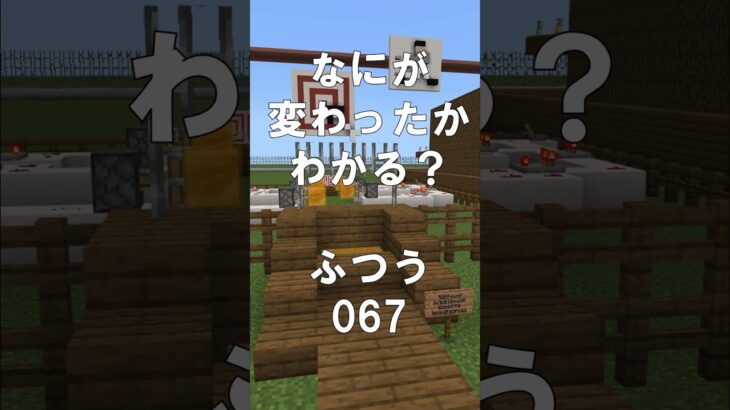 マインクラフトでマイクイズ！なにがかわったかわかる？アハ体験で脳トレ間違い探し（ふつう）067 #shorts #マイクラ #マインクラフト #minecraft #マインクラフトでマイクイズ