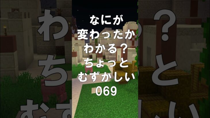 マインクラフトでマイクイズ！なにがかわったかわかる？アハ体験で間違い探し（ちょっとむずかしい）069 #shorts #マイクラ #マインクラフト #minecraft #マインクラフトでマイクイズ