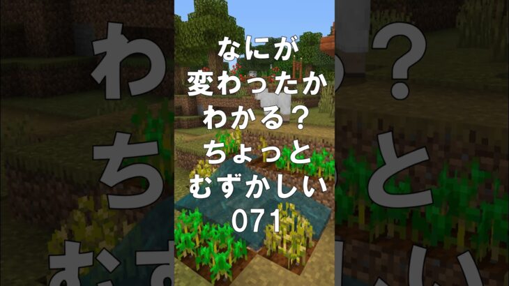 マインクラフトでマイクイズ！なにがかわったかわかる？アハ体験で間違い探し（ちょっとむずかしい）071 #shorts #マイクラ #マインクラフト #minecraft #マインクラフトでマイクイズ