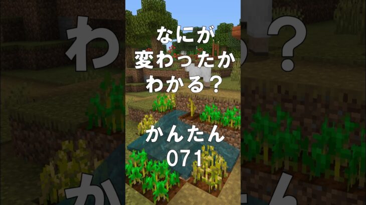 マインクラフトでマイクイズ！なにがかわったかわかる？アハ体験で間違い探し（かんたん）071  #shorts #マイクラ #マインクラフト #minecraft #マインクラフトでマイクイズ