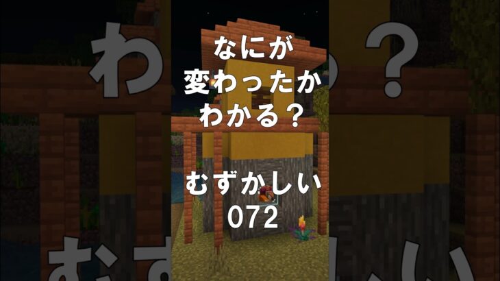 マインクラフトでマイクイズ！なにがかわったかわかる？アハ体験で間違い探し（むずかしい）072 #shorts #マイクラ #マインクラフト #minecraft #マインクラフトでマイクイズ