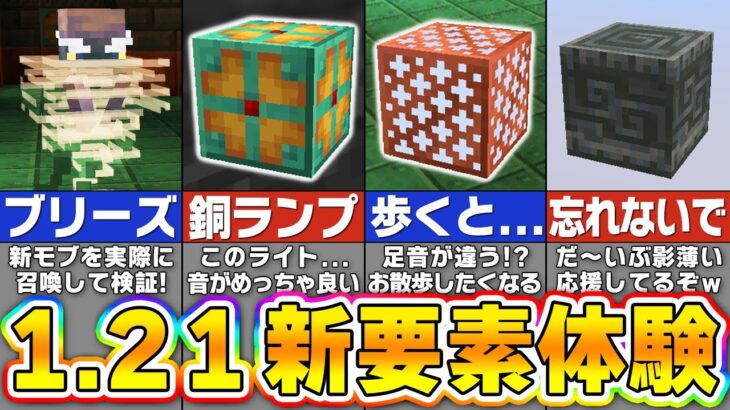 【マイクラ1.21】最新モブ「ブリーズ」も先行体験！？面白すぎるアプデ追加要素を紹介！【まいくら・マインクラフト】