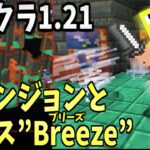 【マイクラ1.21】新ボス『ブリーズ(Breeze)』と直接対決したら最強すぎた!!新ダンジョン:トライアルチャンバー攻略!!-マインクラフト【23W45A】【Minecraft】