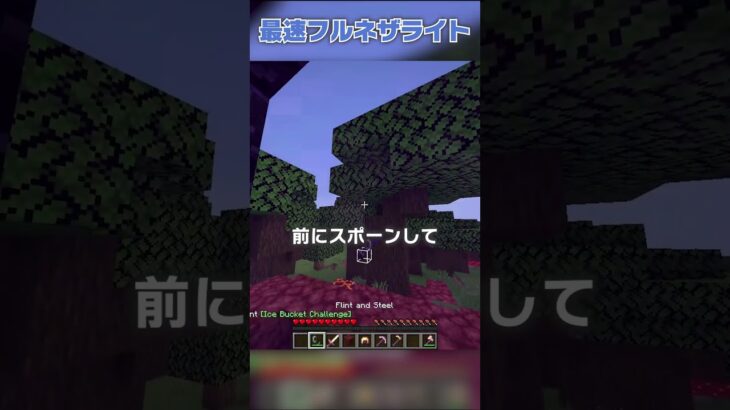 【世界記録】たった「34秒」でフルネザライト装備ゲット？！【マイクラ豆知識 解説 裏技】