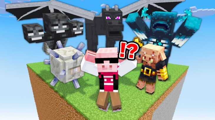 【マイクラ鬼畜】コンパクトな世界で5大ボス討伐！