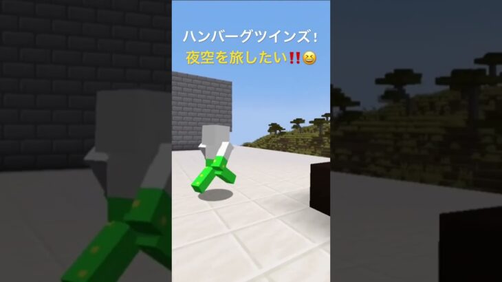 夜空を旅するコマンド😆‼️#小5 #minecraft #minecraftshorts #マイクラ #マインクラフト #shorts #short #夜空 #銀河鉄道999 #空飛ぶ電車 #星空