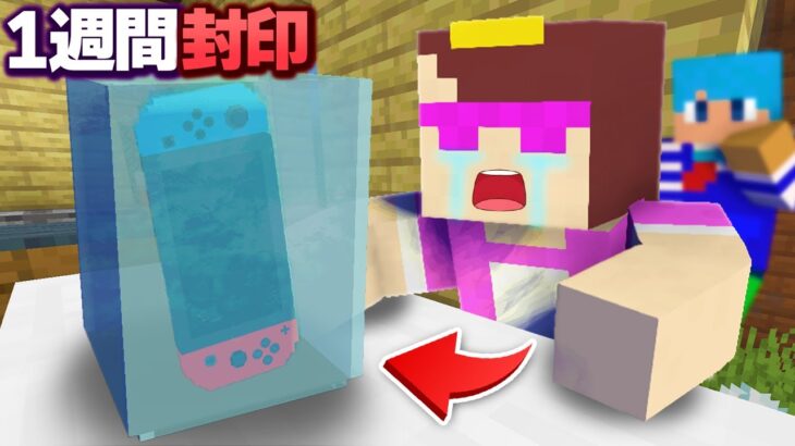 ゲーム依存症のおかんのスイッチを7日間封印してみた！【まいくら / マインクラフト】