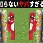 【海外検証】謎が多すぎるマインクラフト9選【マイクラ】【ゆっくり実況】