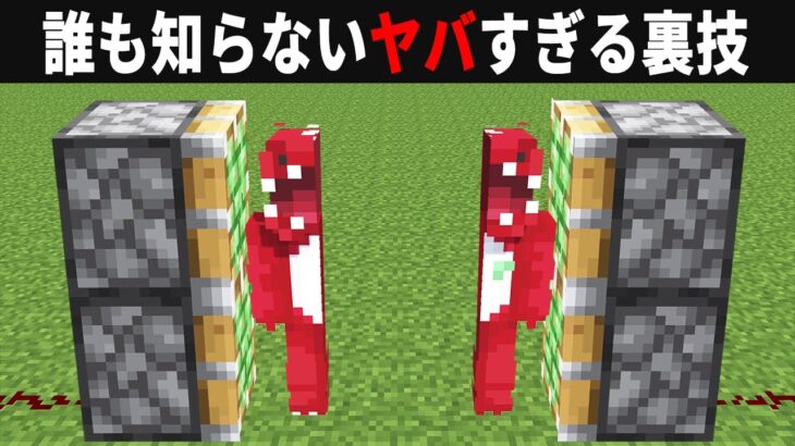 【海外検証】謎が多すぎるマインクラフト9選【マイクラ】【ゆっくり実況】