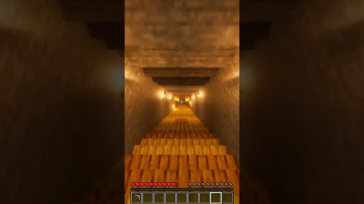 MINECRAFT ДЫРА ДО КИТАЯ?