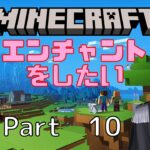 【MINECRAFT】3D酔いに慣れてきたVtuberが初めてのマインクラフトで山を更地にしたいからエンチャントをできるようにしたいらしい　Part9【Vtuber/銀華・N・ローザ】