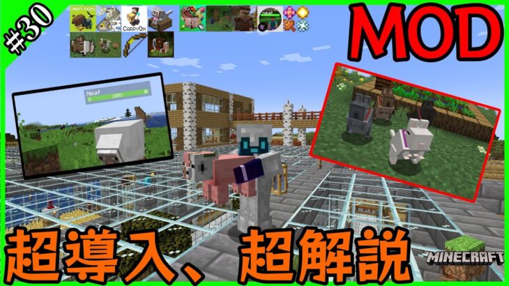 【マイクラMOD】Chapter.30「モブ持って、村人に叩かれる。」【ガンクラ】