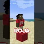 Minecraft, Pero No Puedo Tocar El Rojo…