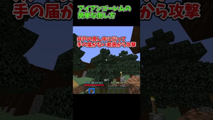 RTA勢のゴーレムの倒し方3選!! #minecraft #マイクラ