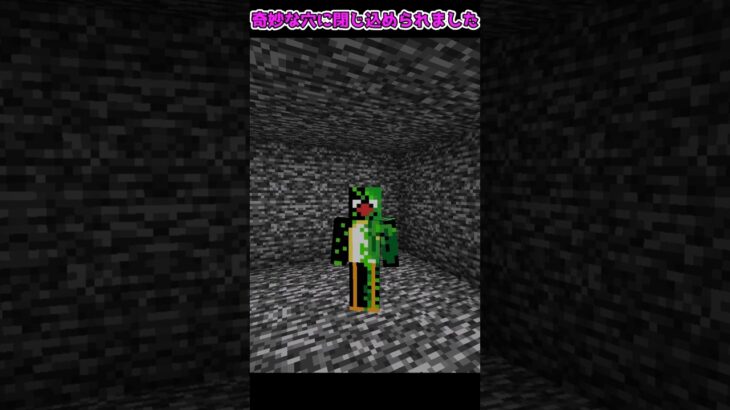 奇妙な穴に閉じ込められた霊夢の末路…！？【マイクラ・マインクラフト】【ゆっくり実況】#Shorts
