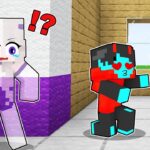 Using INVISIBILITY to Prank My Friend! | Minecraft