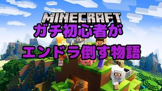 【minecraft配信！】住みよい家を建築しようではないか【初見さん大歓迎】