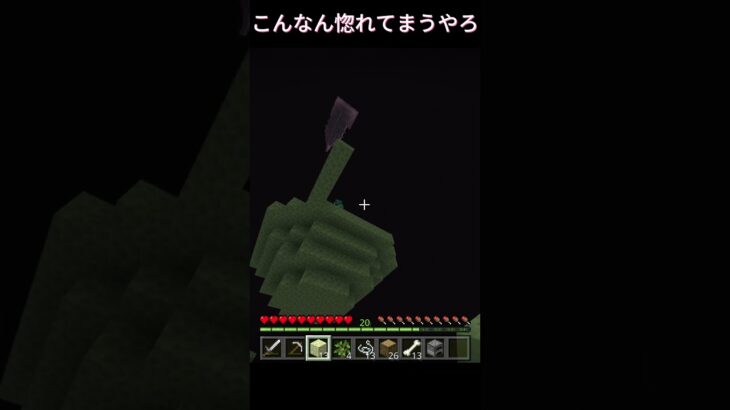 こんなん惚れてまうやろ～　【マイクラ統合版】 #マイクラ #minecraft